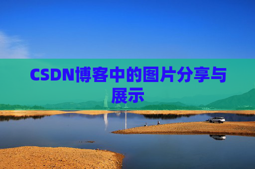 CSDN博客中的图片分享与展示